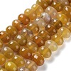 Natural Agate Beads Strands G-G021-03B-08-1