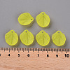 Transparent Frosted Acrylic Pendants MACR-S371-02A-717-4
