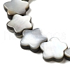 Natural Black Lip Shell Beads Strands SHEL-M021-02A-3