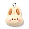 Opaque Resin Pendants RESI-C037-02G-1