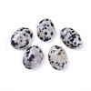 Natural Dalmatian Jasper Cabochons G-L511-E-02-1