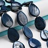 Dyed Natural Freshwater Shell Beads Strands BSHE-G034-24-2