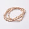 Electroplate Glass Beads Strands X-EGLA-F124-PL-A01-2