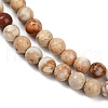 Dyed Natural Regalite/Imperial Jasper/Sea Sediment Jasper Beads Strands G-B124-C04-11-2