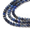 Natural Lapis Lazuli Bead Strands G-G936-2mm-22-3