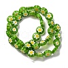 Handmade Millefiori Lampwork Beads Strands LAMP-G164-04H-2