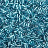 Plated Glass Bugle Beads SEED-S046-01A-23-3