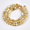 Yellow Shell Beads Strands SHEL-S274-93D-2