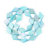 Dyed Natural Freshwater Shell Beads Strands SHEL-T020-13D-2