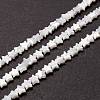 Natural Trochid Shell/Trochus Shell Beads SSHEL-O001-25A-01-4