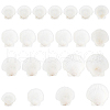   20Pcs 4 Style Natural Scallop Shells SSHEL-PH0001-23-1