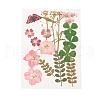 Pressed Dried Flowers DIY-YWC0001-95-2