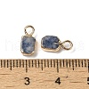 Natural Blue Spot Jasper Rectangle Charms G-Q169-07G-02-3