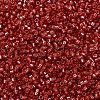 MIYUKI Delica Beads SEED-J020-DB2159-1