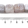 Natural Weathered Agate Beads Strands G-Q169-B04-01-5