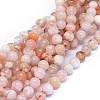 Natural Cherry Blossom Agate Beads Strands G-I249-B01-02-1