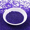 MIYUKI Round Rocailles Beads SEED-G007-RR0020-2