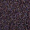 TOHO Round Seed Beads SEED-JPTR08-0166BF-2