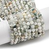 Natural Tree Agate Beads Strands G-RM250104-D6-2