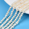 Natural Cultured Freshwater Pearl Beads Strands PEAR-N013-04B-1