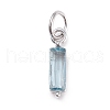 304 Stainless Steel Cubic Zirconia Pendants STAS-E487-21P-9-1