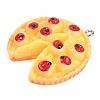 Opaque Resin Pendants CRES-U003-02P-2