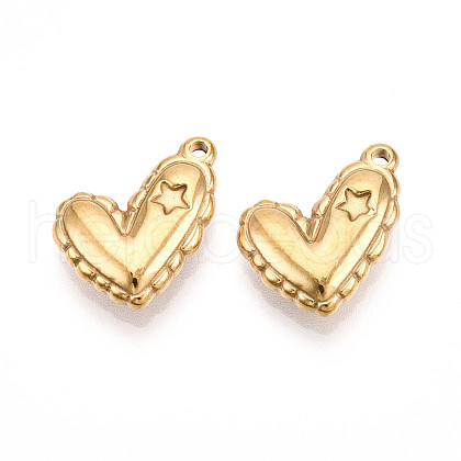 304 Stainless Steel Pendants STAS-N109-117G-1