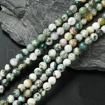 Natural Tree Agate Beads Strands G-K194-6mm-02-1