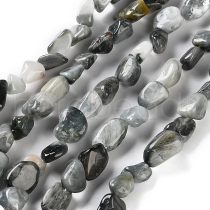 Natural Eagle Eye Stone Beads Strands G-P497-01C-52-1