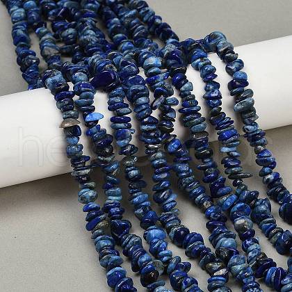 Natural Lapis Lazuli Beads Strands G-Q060-C04-1