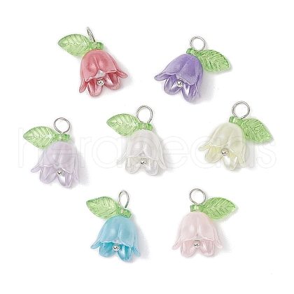 Acrylic Beads with Plastic Imitation Pearl Beads Pendants PALLOY-JF03825-01-1