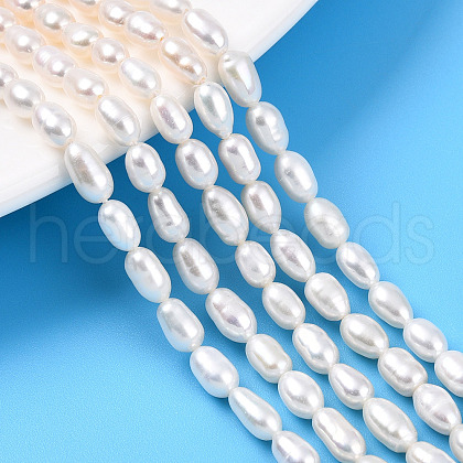 Natural Cultured Freshwater Pearl Beads Strands PEAR-N012-04M-1