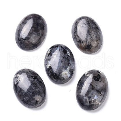 Natural Black Larvikite Cabochons X-G-Z020-10-1