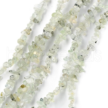 Natural Prehnite Beads Strands G-G0003-B12-1
