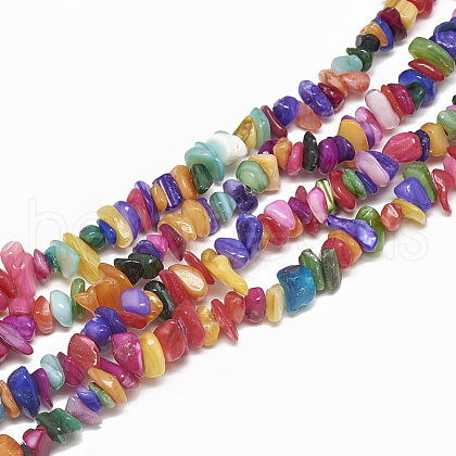 Freshwater Shell Beads Strands SHEL-S270-01-1