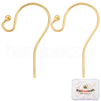 Beebeecraft 10 Pairs 925 Sterling Silver Earring Hooks STER-BBC0005-88-1
