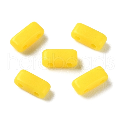 Opaque Acrylic Slide Charms OACR-Z010-02D-1