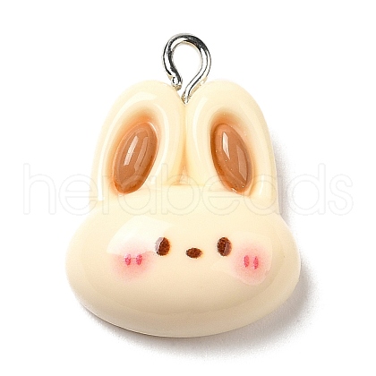 Opaque Resin Pendants RESI-C037-02G-1