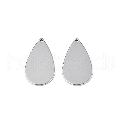 Non-Tarnish 304 Stainless Steel Pendants STAS-N095-102-1