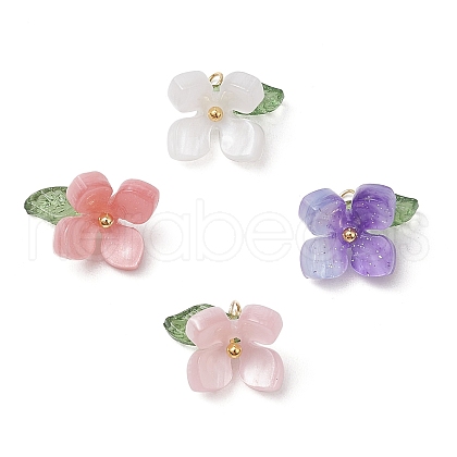 4Pcs 4 Colors Resin Pendants PALLOY-TA00213-01-1