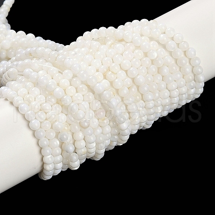 Natural Cultured Freshwater Shell Beads Strands BSHE-H109-03A-1