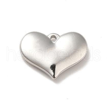 304 Stainless Steel Pendants STAS-E176-01P-1