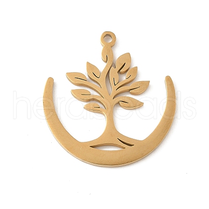 304 Stainless Steel Pendants STAS-V016-21G-1