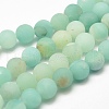 Natural Amazonite Bead Strands X-G-G684-03-8mm-1