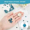Olycraft Natural Apatite Beads Strands G-OC0002-60A-2