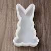 Rabbit Display Decoration DIY Silhouette Silicone Molds SIMO-H142-02B-2
