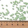 Baking Paint Glass Seed Beads X-SEED-S042-15A-08-4