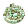 Natural Chrysoprase Beads Strands G-G259-D16-5mm-3