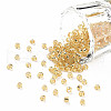 8/0 Glass Seed Beads X2-SEED-A005-3mm-22-1