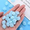 Imitation Jelly Acrylic Beads MACR-S373-93-E08-6